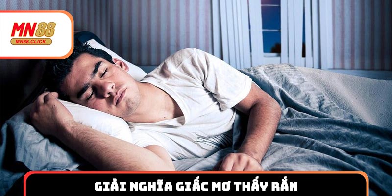 Giải nghĩa giấc mơ thấy rắn