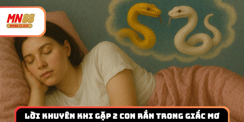 Lời khuyên hữu ích khi gặp 2 con rắn trong giấc mơ