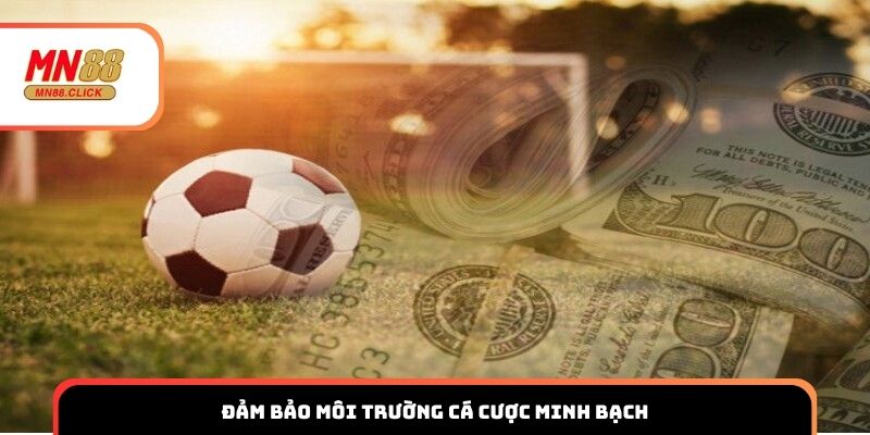 Minh chứng cho chiến lược phát triển bền vững