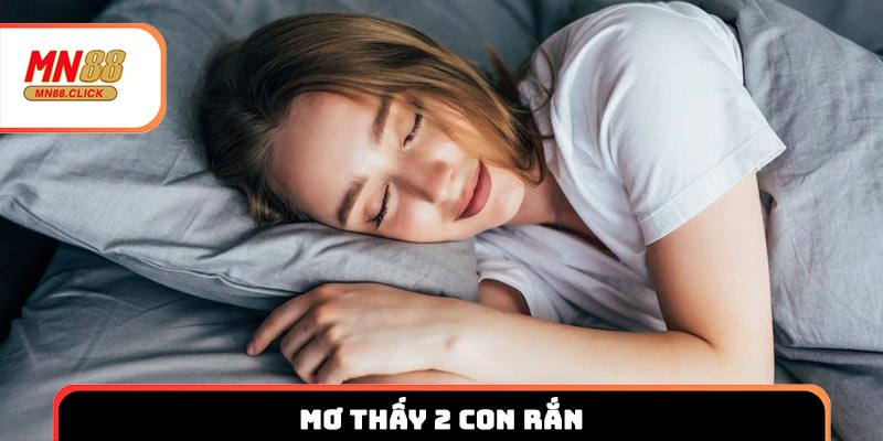 Mơ thấy 2 con rắn