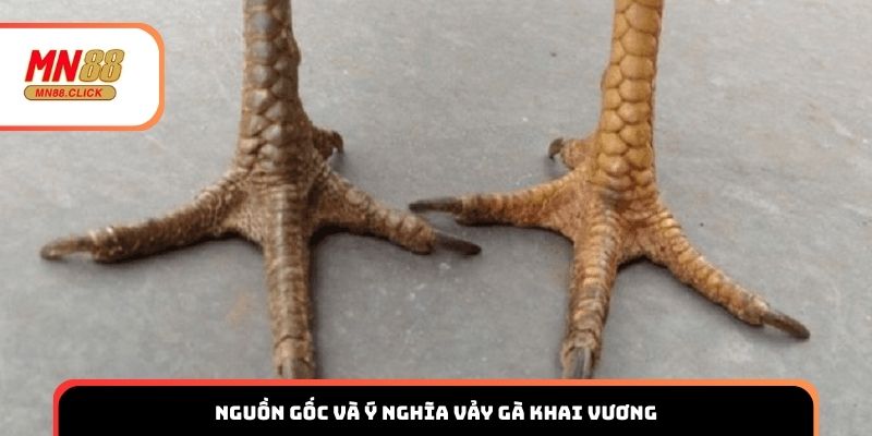 Nguồn gốc và ý nghĩa vảy gà khai vương