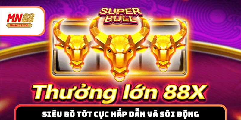 Siêu Bò Tót cực hấp dẫn và sôi động