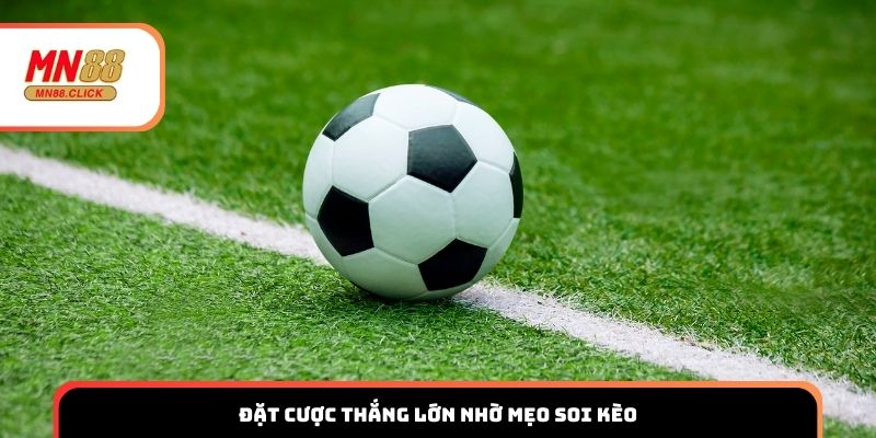 Đặt cược thắng lớn nhờ mẹo soi kèo