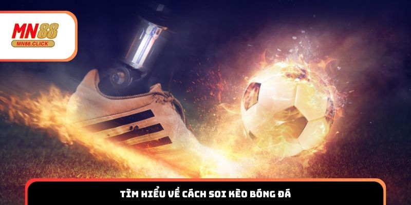 Tìm hiểu về cách soi kèo bóng đá