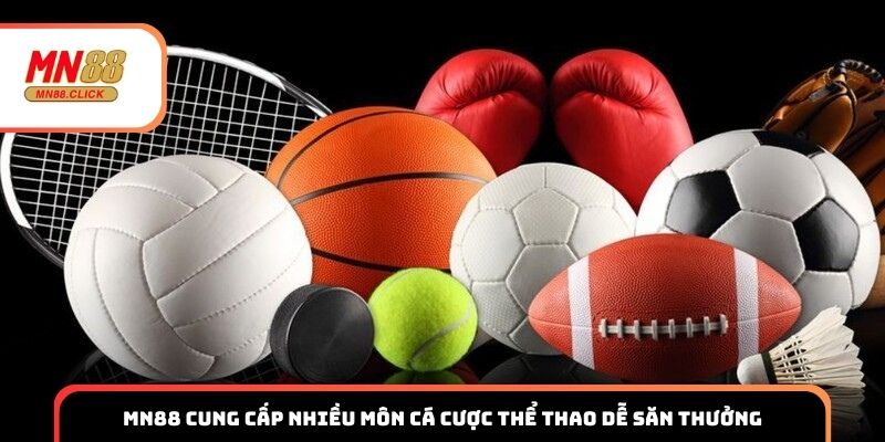 MN88 cung cấp nhiều môn cá cược thể thao dễ săn thưởng