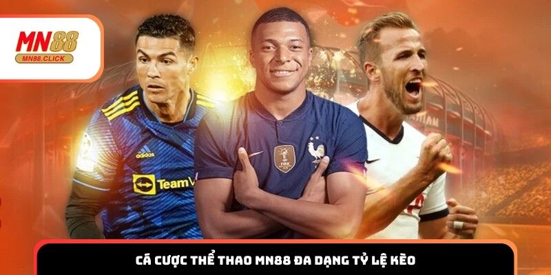 Cá cược thể thao MN88 đa dạng tỷ lệ kèo
