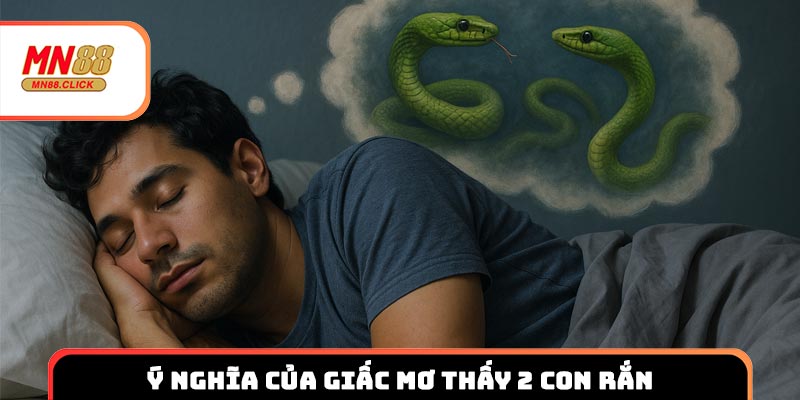 Ý nghĩa trong từng tình huống nằm mơ thấy 2 con rắn