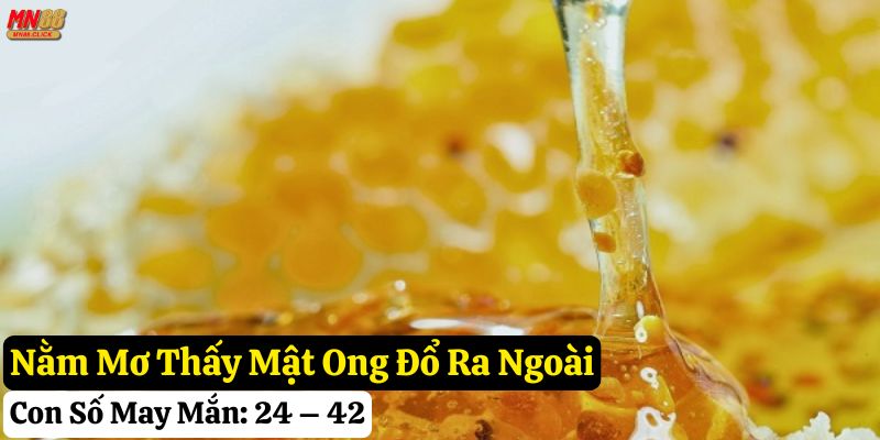 nằm mơ thấy mật ong