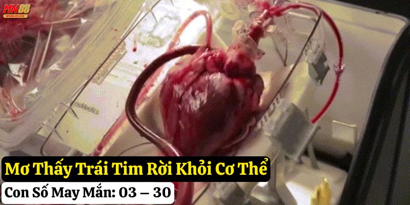 nằm mơ thấy trái tim