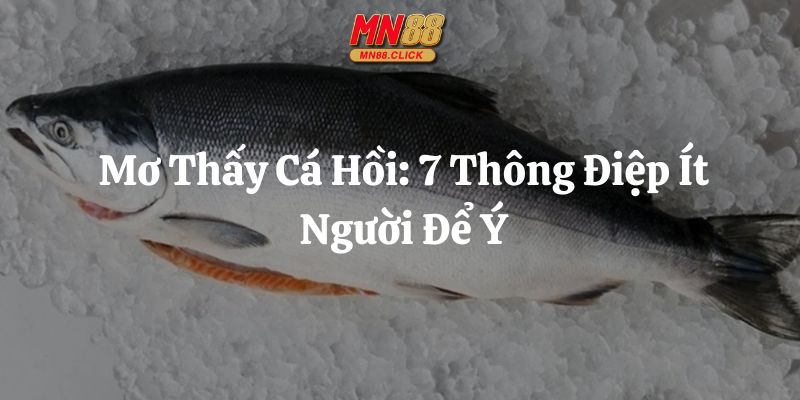 mơ thấy cá hồi mn88 thumb