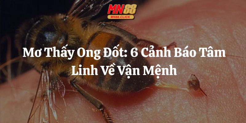 mơ thấy ong đốt mn88 thumb