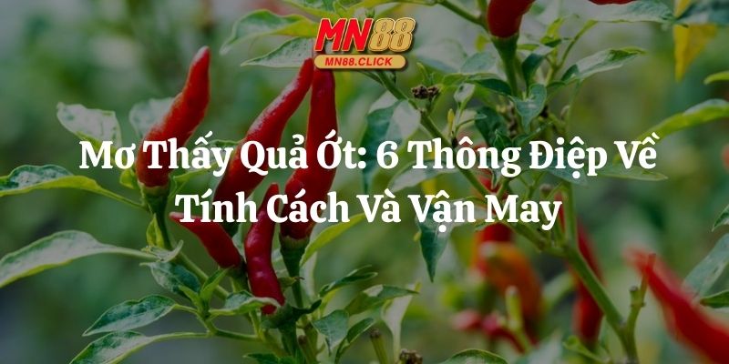 mơ thấy quả ớt mn88 thumb