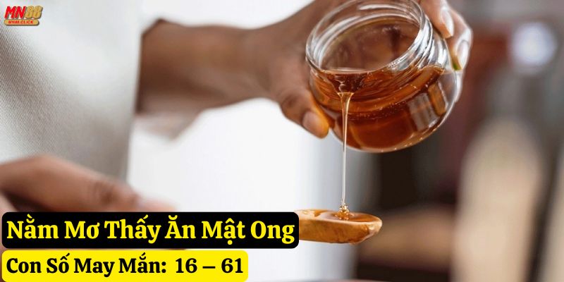 nằm mơ thấy mật ong mn88