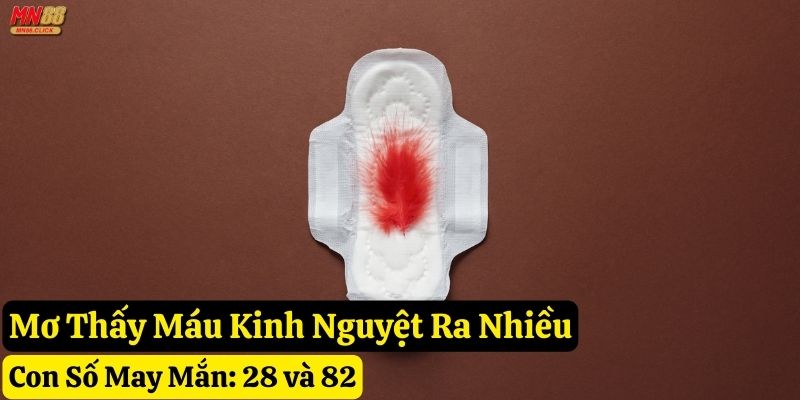 mơ thấy máu kinh nguyệt mn88