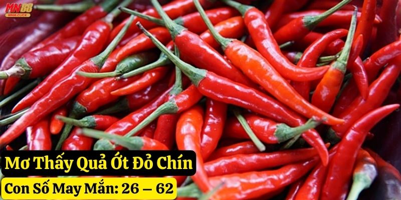 mơ thấy quả ớt mn88