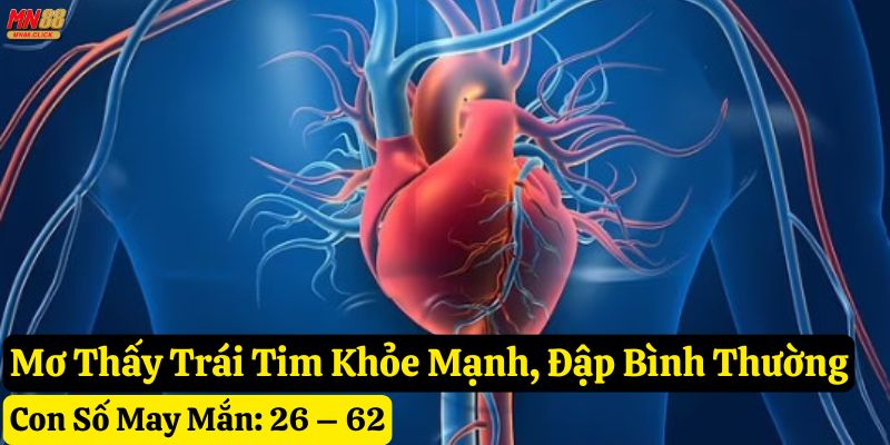 mơ thấy trái tim