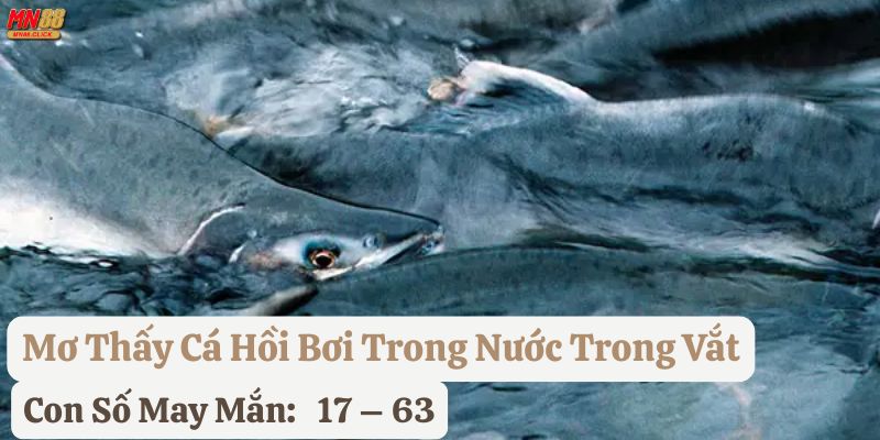 mơ thấy cá hồi mn88