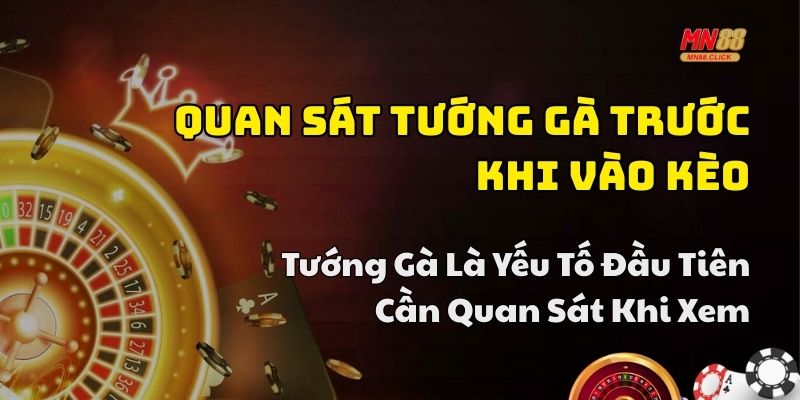 kinh nghiệm chơi đá gà hay