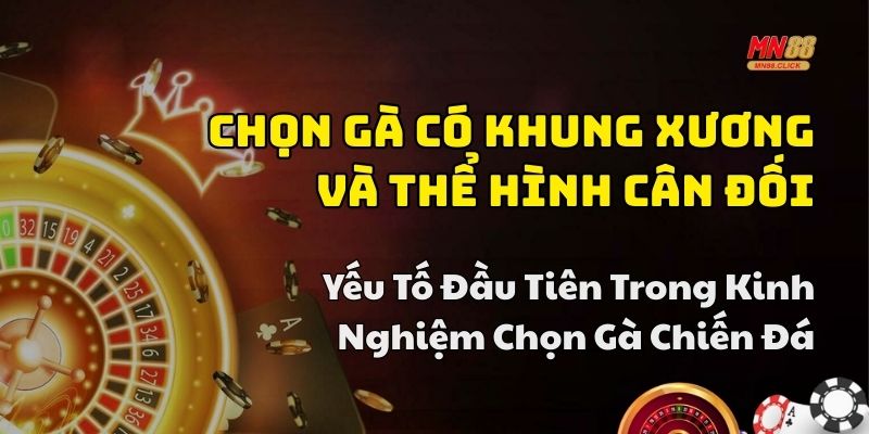 kinh nghiệm chọn gà chiến đá cựa sắt chuẩn