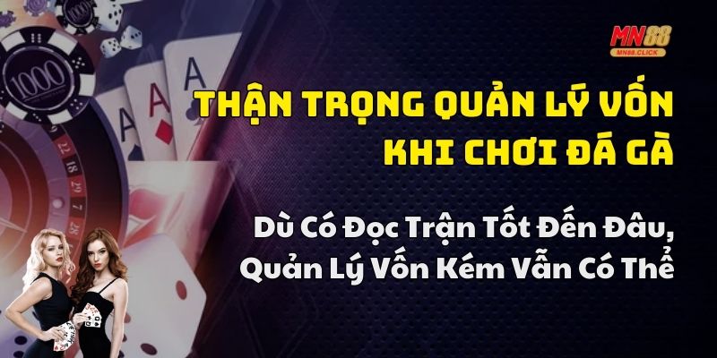 kinh nghiệm chơi đá gà