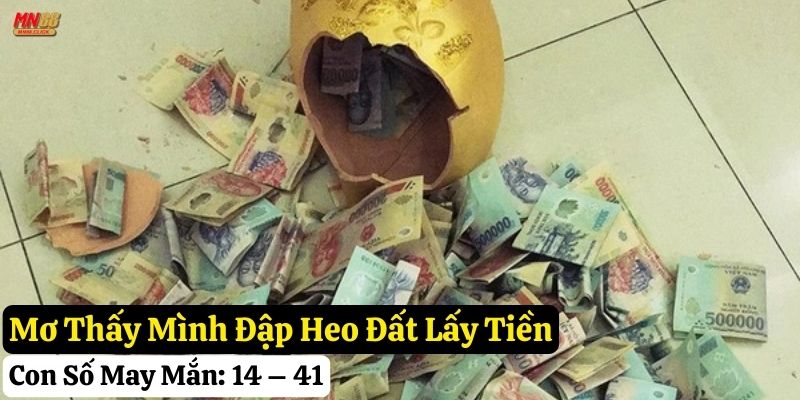 mơ thấy heo đất