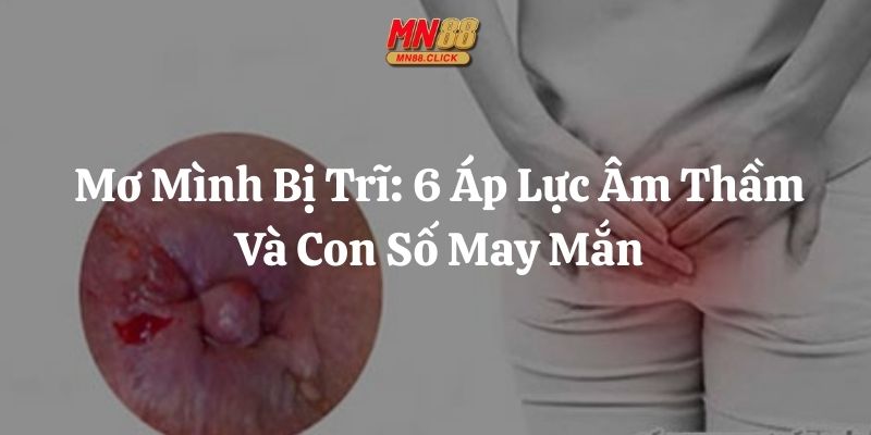 mơ mình bị trĩ mn88 thumb