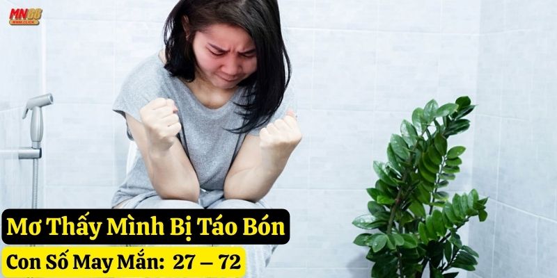 mơ bị táo bón mn88