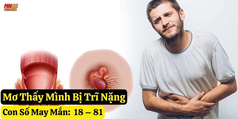 mơ mình bị trĩ mn88