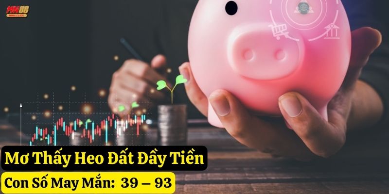 mơ thấy heo đất mn88