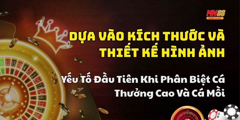 phân biệt cá thưởng cao và cá mồi mn88