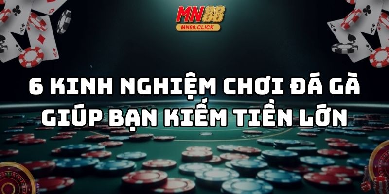 kinh nghiệm chơi đá gà mn88 thumb