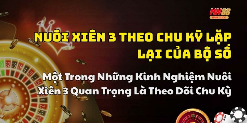 kinh nghiệm nuôi xiên 3 hay