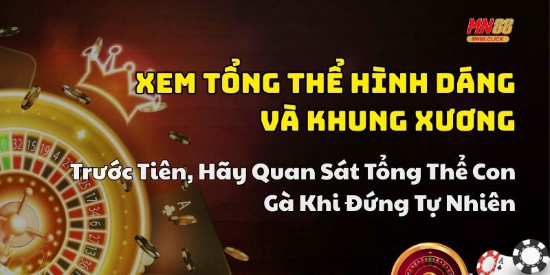 kinh nghiệm xem tướng gà hay
