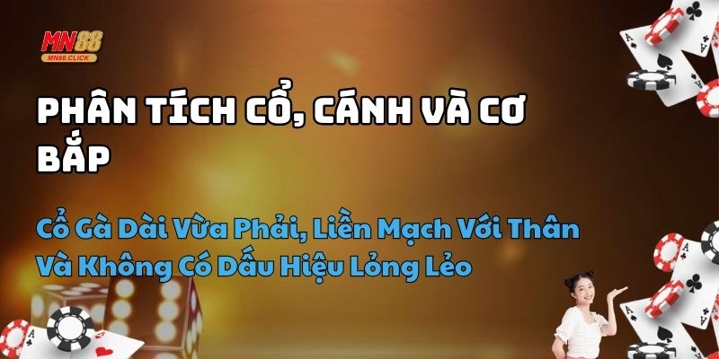 kinh nghiệm xem tướng gà