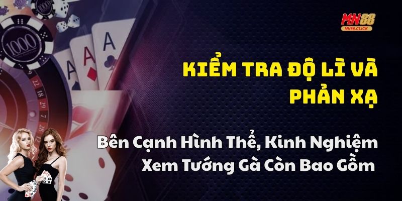 kinh nghiệm xem tướng gà u88