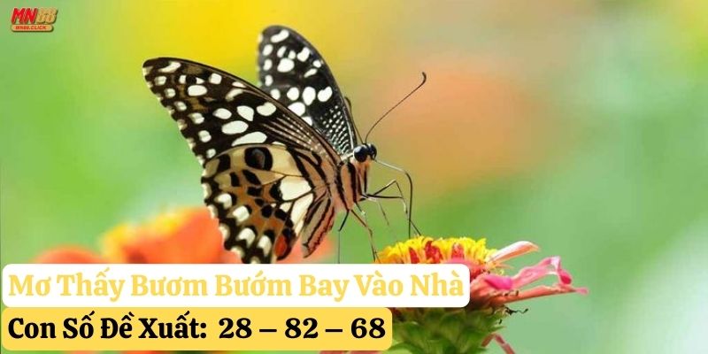 nằm mơ thấy bươm bướm