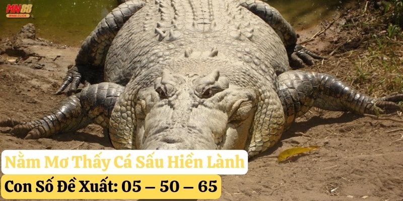 mơ thấy cá sấu