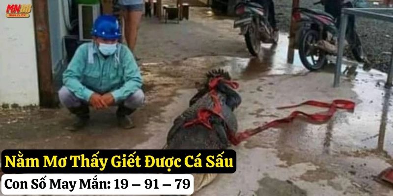 nằm mơ thấy cá sấu