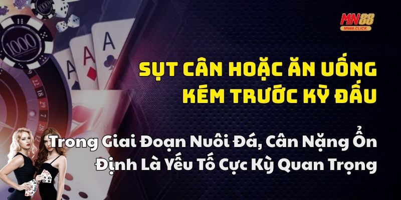 nhận biết gà xuống sức