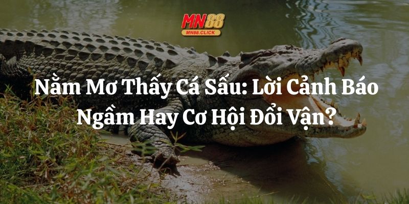 nằm mơ thấy cá sấu mn88 thumb