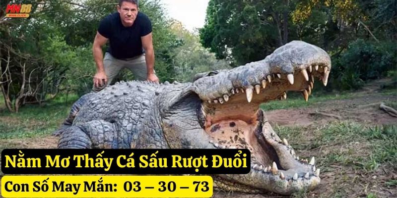 nằm mơ thấy cá sấu mn88
