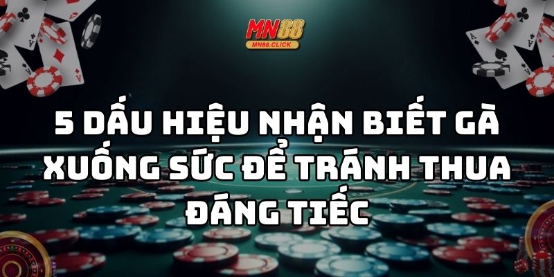 nhận biết gà xuống sức mn88 thumb
